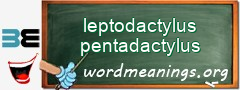 WordMeaning blackboard for leptodactylus pentadactylus